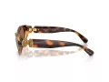 Swarovski SK 6036U 100273 50 Women sunglasses