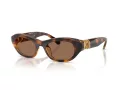 Swarovski SK 6036U 100273 50 Women sunglasses