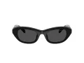 Swarovski SK 6036U 103887 50 Women sunglasses