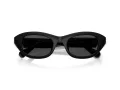 Swarovski SK 6036U 103887 50 Women sunglasses
