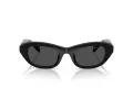 Swarovski SK 6036U 103887 50 Women sunglasses