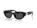 Swarovski SK 6036U 103887 50 Women sunglasses