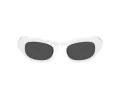 Swarovski SK 6036U 105087 50 Women sunglasses