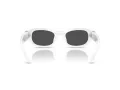 Swarovski SK 6036U 105087 50 Women sunglasses