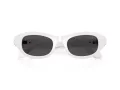 Swarovski SK 6036U 105087 50 Women sunglasses
