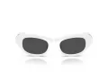 Swarovski SK 6036U 105087 50 Women sunglasses