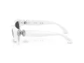Swarovski SK 6036U 105087 50 Women sunglasses