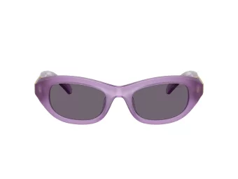 Swarovski SK 6036U 10751A 50 Women sunglasses