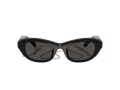 Swarovski SK 6036U 107687 50 Women sunglasses