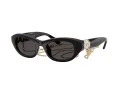 Swarovski SK 6036U 107687 50 Women sunglasses