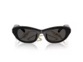 Swarovski SK 6036U 107687 50 Women sunglasses