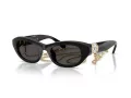 Swarovski SK 6036U 107687 50 Women sunglasses