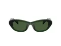 Swarovski SK 6036U 108171 50 Women sunglasses