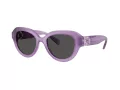 Swarovski SK 6037 107587 50 Women sunglasses