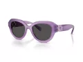Swarovski SK 6037 107587 50 Women sunglasses