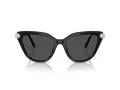 Swarovski SK 6039 100187 56 Women sunglasses