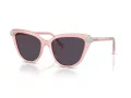Swarovski SK 6039 1041P5 56 Women sunglasses