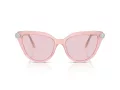 Swarovski SK 6039 1041P5 56 Women sunglasses