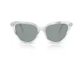 Swarovski SK 6039 1042/1 56 Women sunglasses