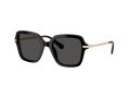 Swarovski SK 6040 100187 50 Women sunglasses