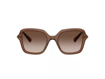 Swarovski SK 6040 106713 50 Women sunglasses