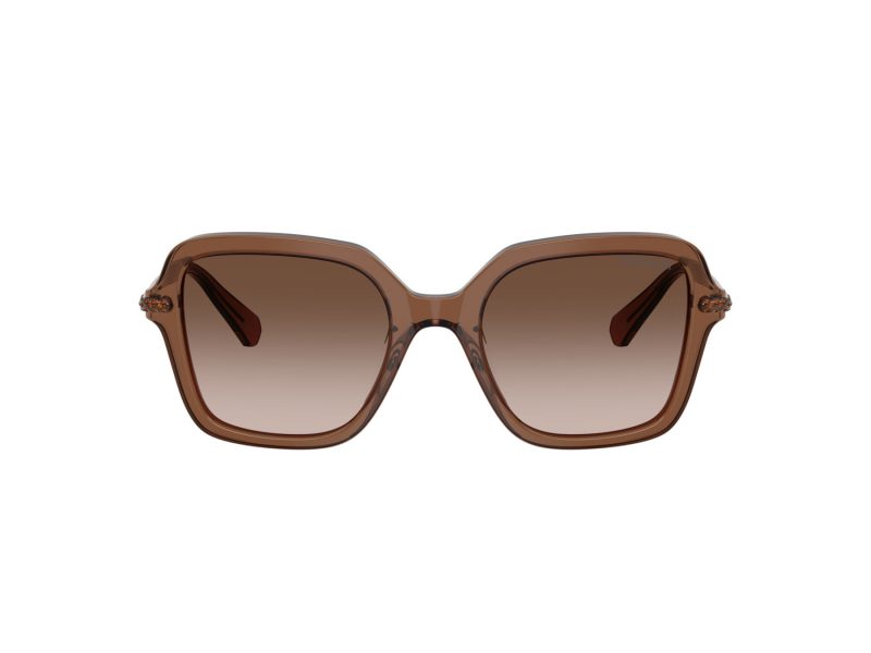 Swarovski SK 6040 106713 50 Women sunglasses