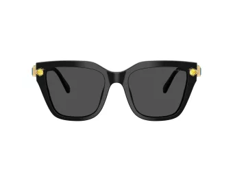 Swarovski SK 6041 100187 53 Women sunglasses