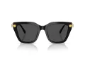 Swarovski SK 6041 100187 53 Women sunglasses