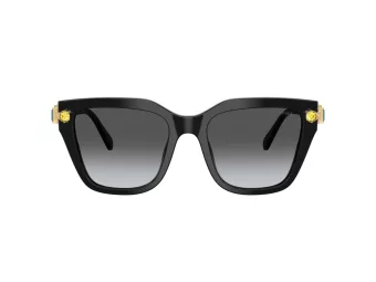 Swarovski SK 6041 1001T3 53 Women sunglasses