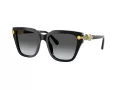 Swarovski SK 6041 1001T3 53 Women sunglasses