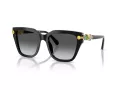 Swarovski SK 6041 1001T3 53 Women sunglasses