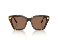 Swarovski SK 6041 100273 53 Women sunglasses