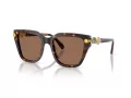 Swarovski SK 6041 100273 53 Women sunglasses