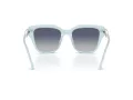 Swarovski SK 6041 10244L 53 Women sunglasses