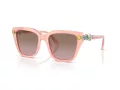 Swarovski SK 6041 104114 53 Women sunglasses