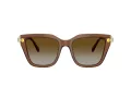 Swarovski SK 6041 1067T5 53 Women sunglasses