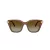 Swarovski SK 6041 1067T5 53 Women sunglasses