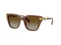 Swarovski SK 6041 1067T5 53 Women sunglasses