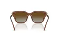 Swarovski SK 6041 1067T5 53 Women sunglasses