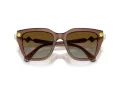 Swarovski SK 6041 1067T5 53 Women sunglasses