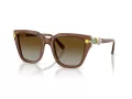 Swarovski SK 6041 1067T5 53 Women sunglasses