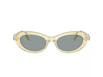 Swarovski SK 6042 1080/1 53 Women sunglasses