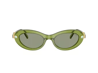 Swarovski SK 6042 3002/2 53 Women sunglasses