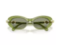 Swarovski SK 6042 3002/2 53 Women sunglasses