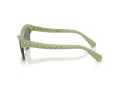 Swarovski SK 6043 10746R 55 Women sunglasses