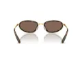 Swarovski SK 7004 400473 55 Women sunglasses