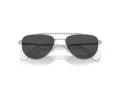 Swarovski SK 7007 400487 53 Women sunglasses