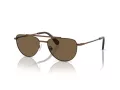 Swarovski SK 7007 401673 53 Women sunglasses