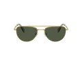 Swarovski SK 7007 401782 53 Women sunglasses
