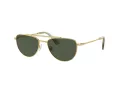Swarovski SK 7007 401782 53 Women sunglasses
